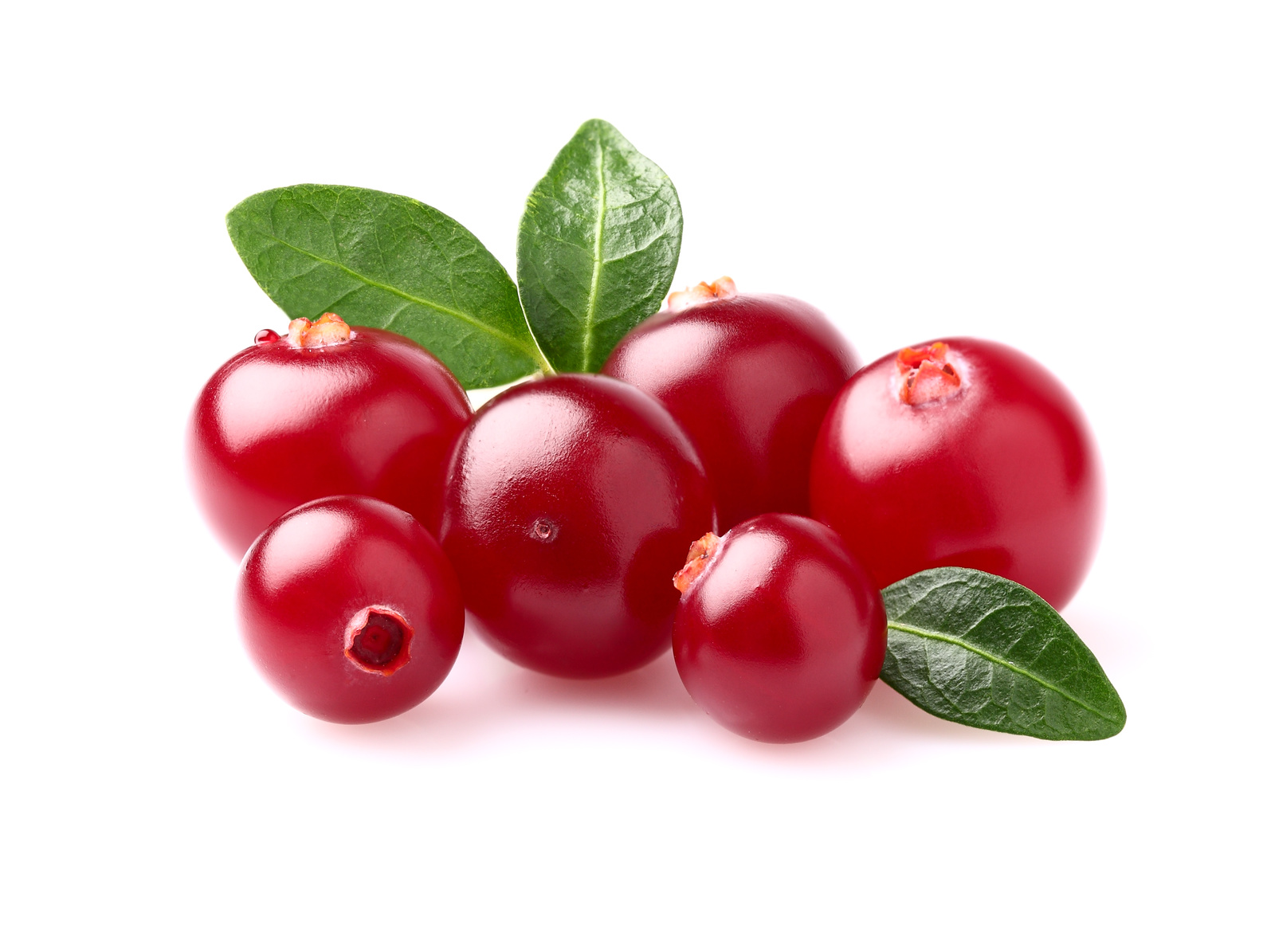 Cranberry Supplement Health Benefits